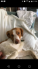 Screenshot_20190613-175559.png