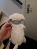 IMG-20190617-WA0013.jpg