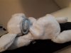 IMG-20190617-WA0011.jpg