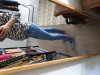 20190621_094319.jpg