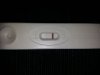 20130202.jpg
