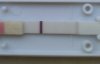 20130203_101652-1.jpg