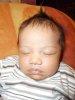 DSCN0217a.jpg