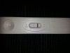 20130204.jpg