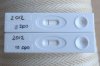10dpo norm.jpg