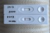 10dpo norm13.jpg
