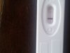 20130208_095110.jpg