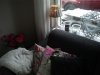 2013-02-09 09.18.54.jpg