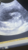 4DFCE941-08DB-44A3-8DB9-FE1E9AAB6E28.png