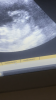 B364F8F8-130D-44AE-962C-D1893F4A5AF8.png