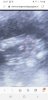 Screenshot_20190623-080743_Samsung Internet.jpg