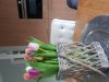 20190204_094502.jpg