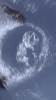 C0592772-7D98-4BBD-8401-B75DD322DCC4.png