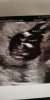IMG-20190605-WA0025.jpeg
