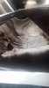 7FBF6257-CD81-4469-A335-DF94497402C9.jpeg