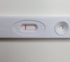 20190626_102021.jpg