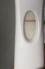 20190626_174903.jpg