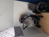20190628_180516.jpg