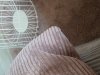 15621770676222146807789.jpg