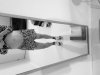 20190705_215253.jpg