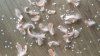 IMG-20190707-WA0017.jpg