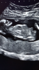 7583CA8C-E54B-4DBA-BB70-12D4895E3333.png