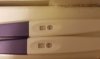 20190710_094343.jpg