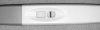 image2.jpeg