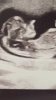 3F8E15D3-9975-4442-9333-8031A41615AF.jpeg