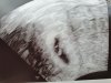 20190715_093948.jpg