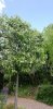 IMG_20190424_151054.jpg