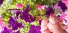 20190718_170053.jpg