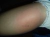 IMG-20190721-WA0012.jpg