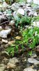 IMG-20190724-WA0046.jpg