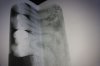 IMG-20190726-WA0004.jpeg