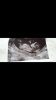 Screenshot_20190722-145821_Gallery.jpg