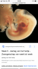 3D0D9F7D-12A0-4005-90A5-FFF934790195.png