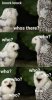 FB_IMG_1544548411623.jpg