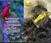 FB_IMG_1559160469841.jpg