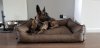 20190606_150646.jpg