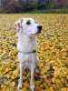 20181110_114807-01.jpeg