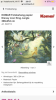 AE99E0A8-0CF1-421F-ADEA-36EDE493CBE7.png