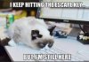 FB_IMG_1563965099468.jpg