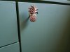 IMG-20190807-WA0009.jpg