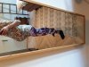 20190810_082344.jpg