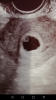 Screenshot_20190813-084031.png