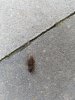 IMG_20190819_082324.jpg