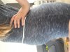 20190824_105247.jpg