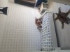 20190824_172423.jpg