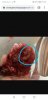 Screenshot_20190828_122325.jpg